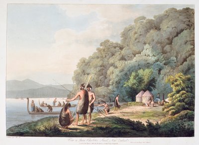 View in Queen Charlottes Sound, New Zealand, from Views in the South Seas, 1809 by James Webber